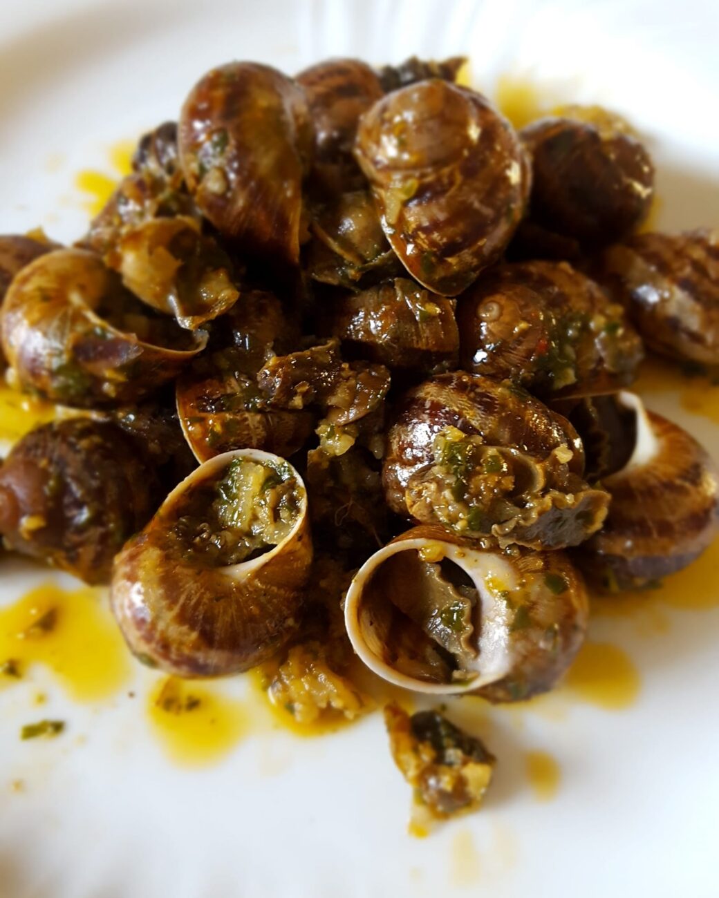 Lumache alla zingara o al pomodoro