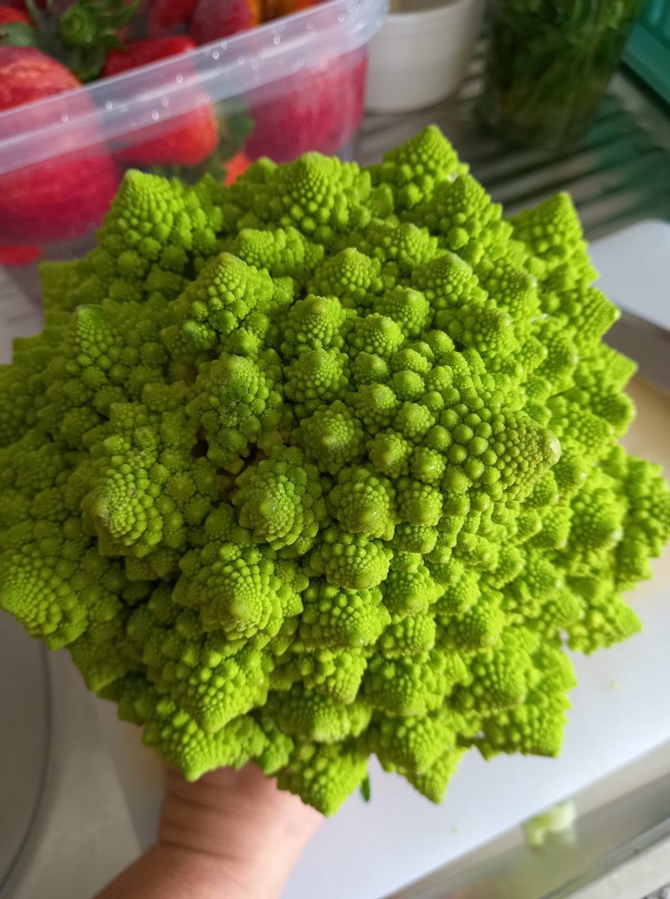 Pasta formaggiosa con broccolo romanesco e salsiccia